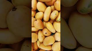 worst foods for diabetes|sugar patient ko kaun sa fruit nahi khana chahiye #suger #worstfood #food