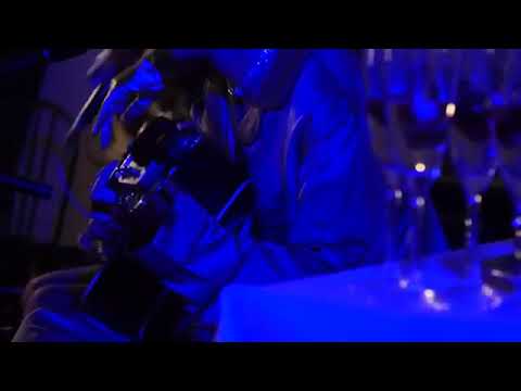 女王蜂「BL」acoustic.