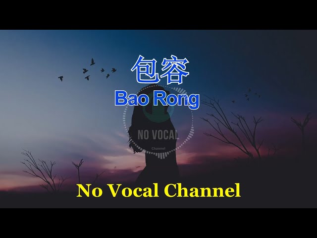 Bao Rong ( 包容 ) Female Karaoke Mandarin - No Vocal class=