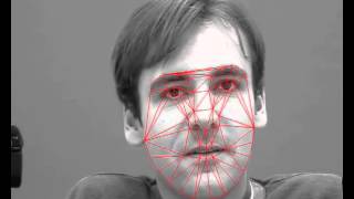 Active Appearance Models AAM) SIC Talking Face Fitting Wealth