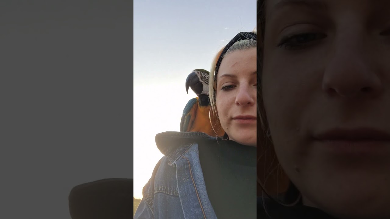 volo libero esercitazioni