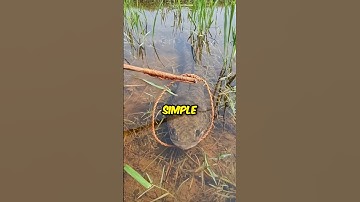 Unique Fishing Skills 😳