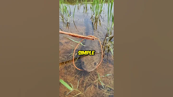 Unique Fishing Skills 😳