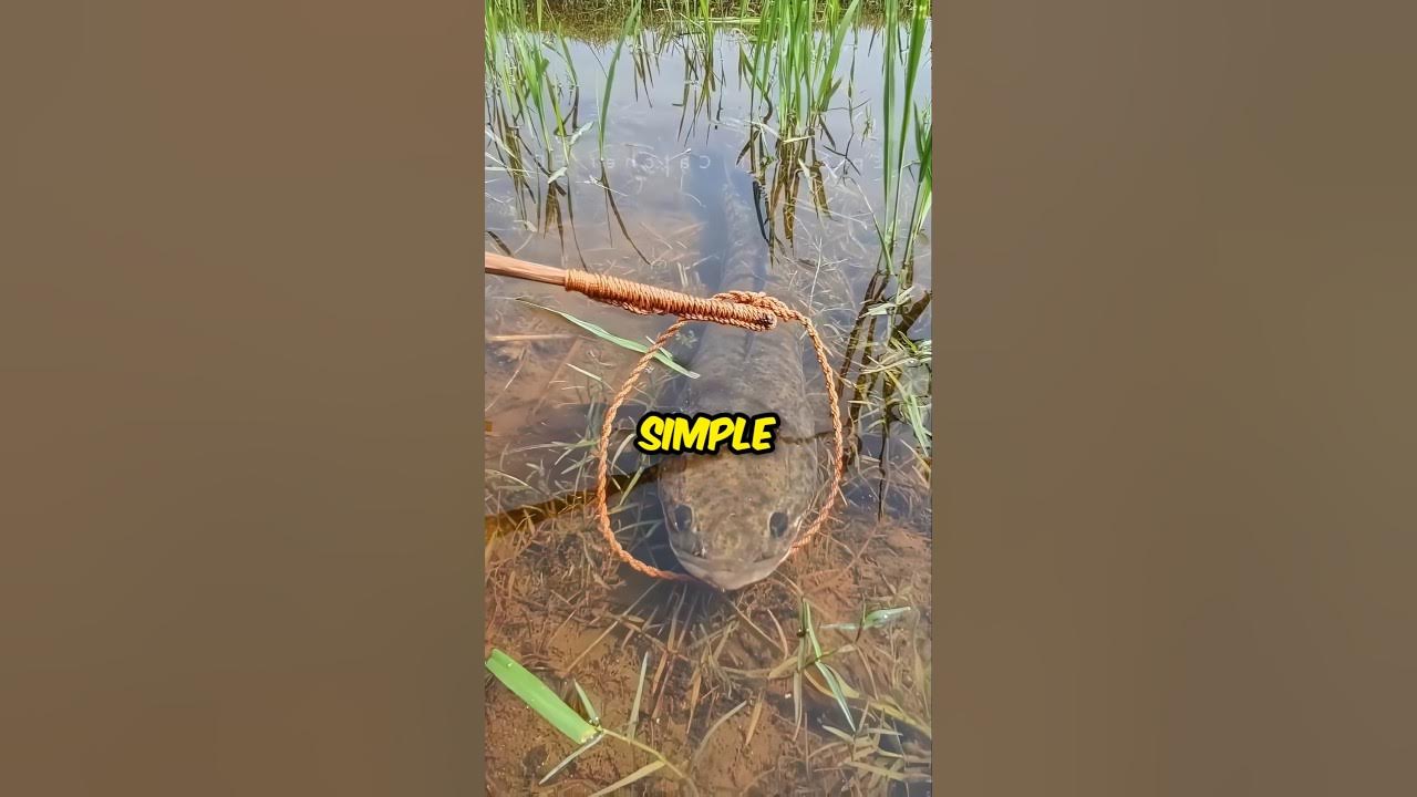 Unique Fishing Skills 😳 Unique Fishing Skills 😳