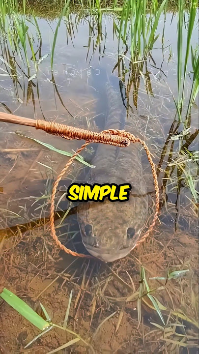 Unique Fishing Skills 😳