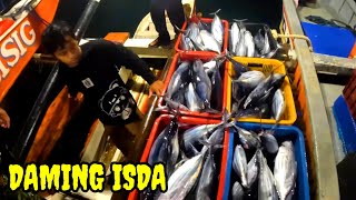 Download Lagu P14 - DISKARGA NG MGA ISDA GALING LAOT - EP63 MP3