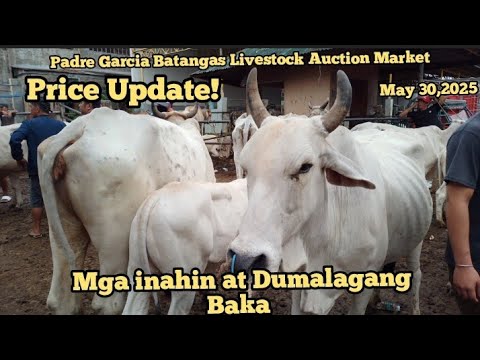 PRICE UPDATE MGA INAHIN AT DUMALAGANG BAKA/ MAY 30,2025/# ...