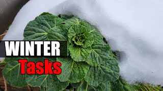 10 Winter Gardening Tasks - Garden Quickie Episode 35