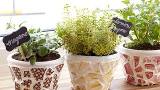 【DIY】壊れた植木鉢をお洒落にかわいく再利用＆活用方法♡～Broken how to take advantage and fashionable reuse flowerpot.