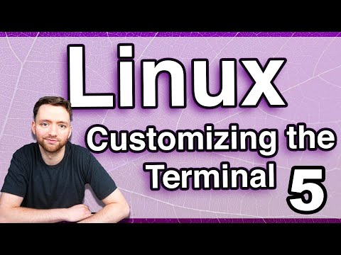 Customizing the Terminal