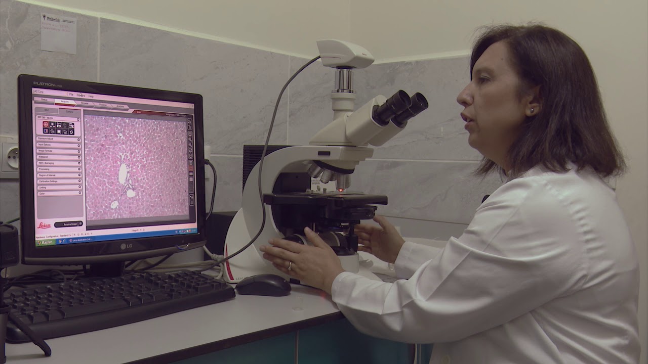 Mikroskop Kullanımı