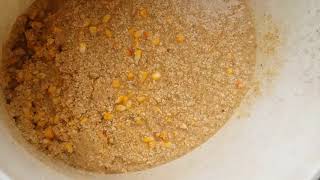 Never Ending Bucket Fermented Feed