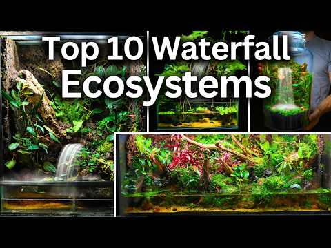 My Top 10 Waterfall Ecosystem Builds!