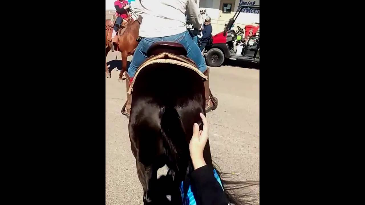 Horse almost crushes girl in parade YouTube