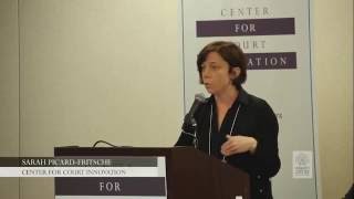 Advanced Topics in Risk and Needs Assessments: Panel at Community Justice 2016