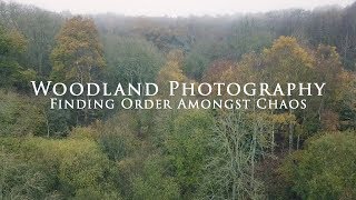 Woodland Photography - Finding Order Amongst the Chaos