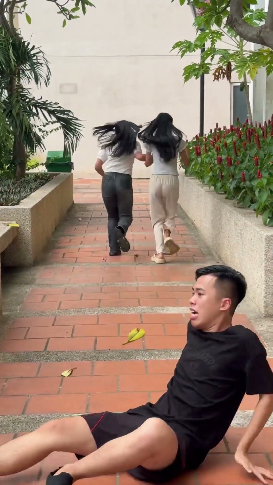 LNS - Chàng trai sợ hãi những cây kẹo || The boy is afraid of candy canes #shorts