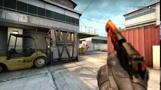 Famous CS:GO - Sync Test Wealth
