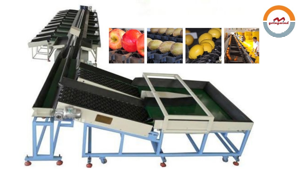 Automatic Double Lanes Fruits And Vegetables Weight Sorting Grading Machine Industrial Sorter Grader