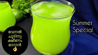 വേനൽകാല സ്പെഷ്യൽ പച്ചമാങ്ങാ ജ്യൂസ്‌ | Pachamanga | Raw Mango Juice Recipe Malayalam | Summer Special screenshot 3