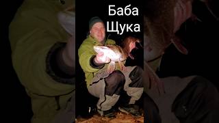 По щучьему веленью #esoxhunter #pikefishing #BIGPIKE