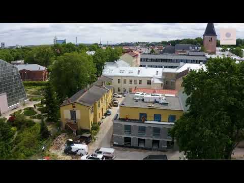 Video: Kus leidub kloroplasti küsitluses klorofülli?