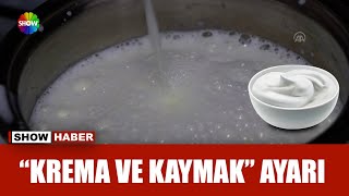 Kaymak Ve Krema Üretiminde Yeni Dönem