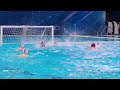 Jug Dubrovnik vs Crvena Zvezda - Highlights - Champion's League 2021/2022 Day 10