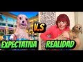 Bañando a mi perro EXPECTATIVA VS REALIDAD / Lapizin Crack