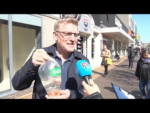 1 april: Zaanstad voert huisdierenbelasting in