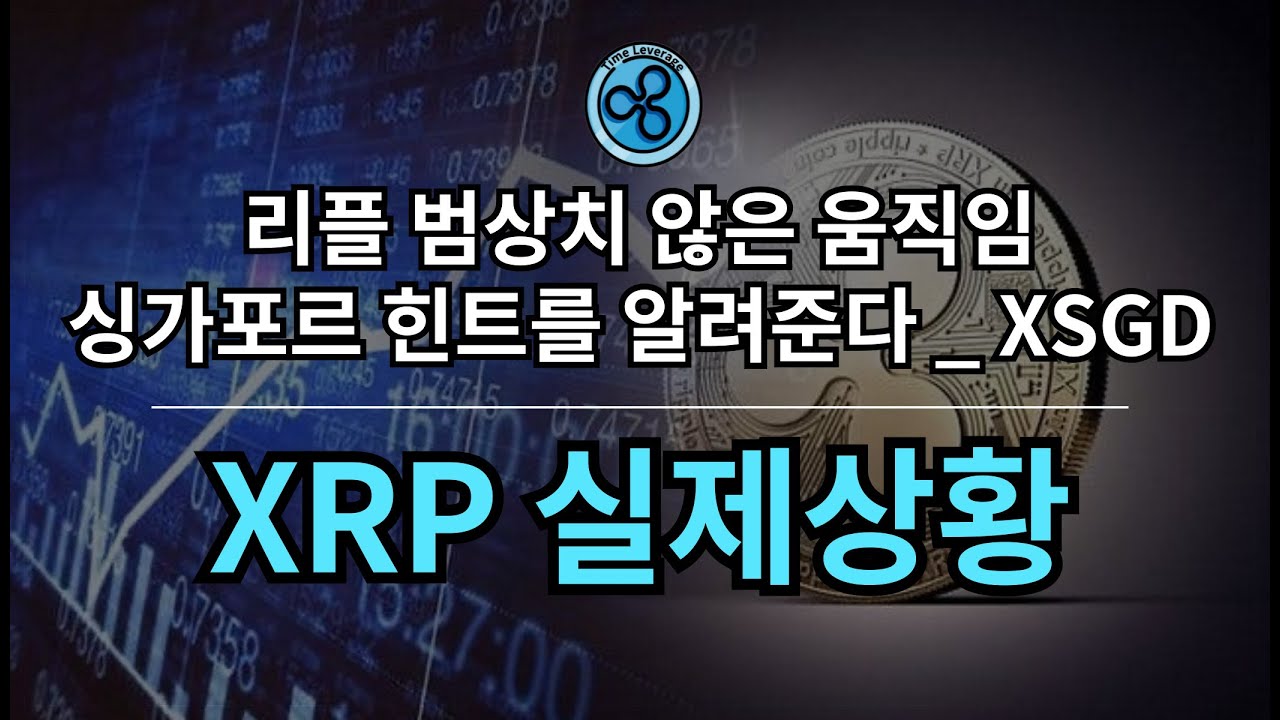 리플사와 XRP.. 거대한 파도가 준비되고 있다. - YouTube