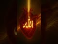 jabki Sarkar tashrif laane Lage #short video #Islamic shorts #superhit beautiful #YouTube