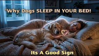 Why Dogs SLEEP IN YOUR BED! 🛌 Oxytocin Science PROVES It's LOVE 🐶❤️" Pets Heart Talk