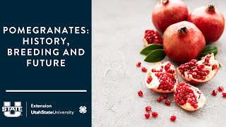 Pomegranates: History, Breeding and Future by Utah State University Extension 190 views 1 month ago 1 hour, 12 minutes