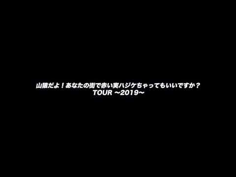 山猿ツアー決定!!