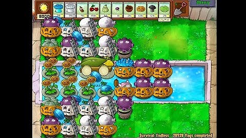 1 Cob Setup | Pool Endless