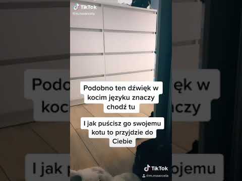 Wideo: Istnieje Więcej Niż Jedna Opcja Karmienia Kota Z Przewlekłą Chorobą Nerek