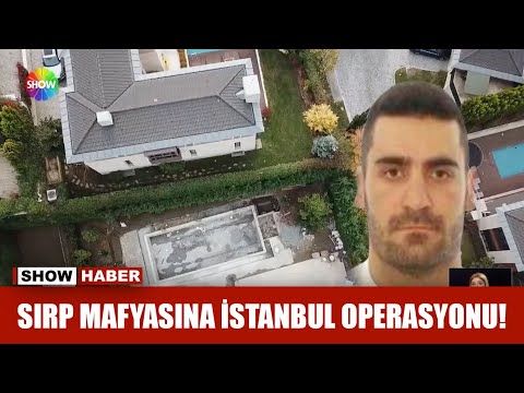Sırp mafyasına İstanbul operasyonu!