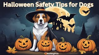 Halloween Safety Tips for Dogs: For a Safe, Happy Howl-oween