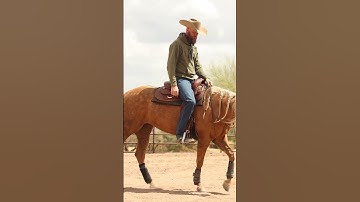 Success comes from being realistic with ourselves. #reining #reiningmasterclass #horsetrainingtips