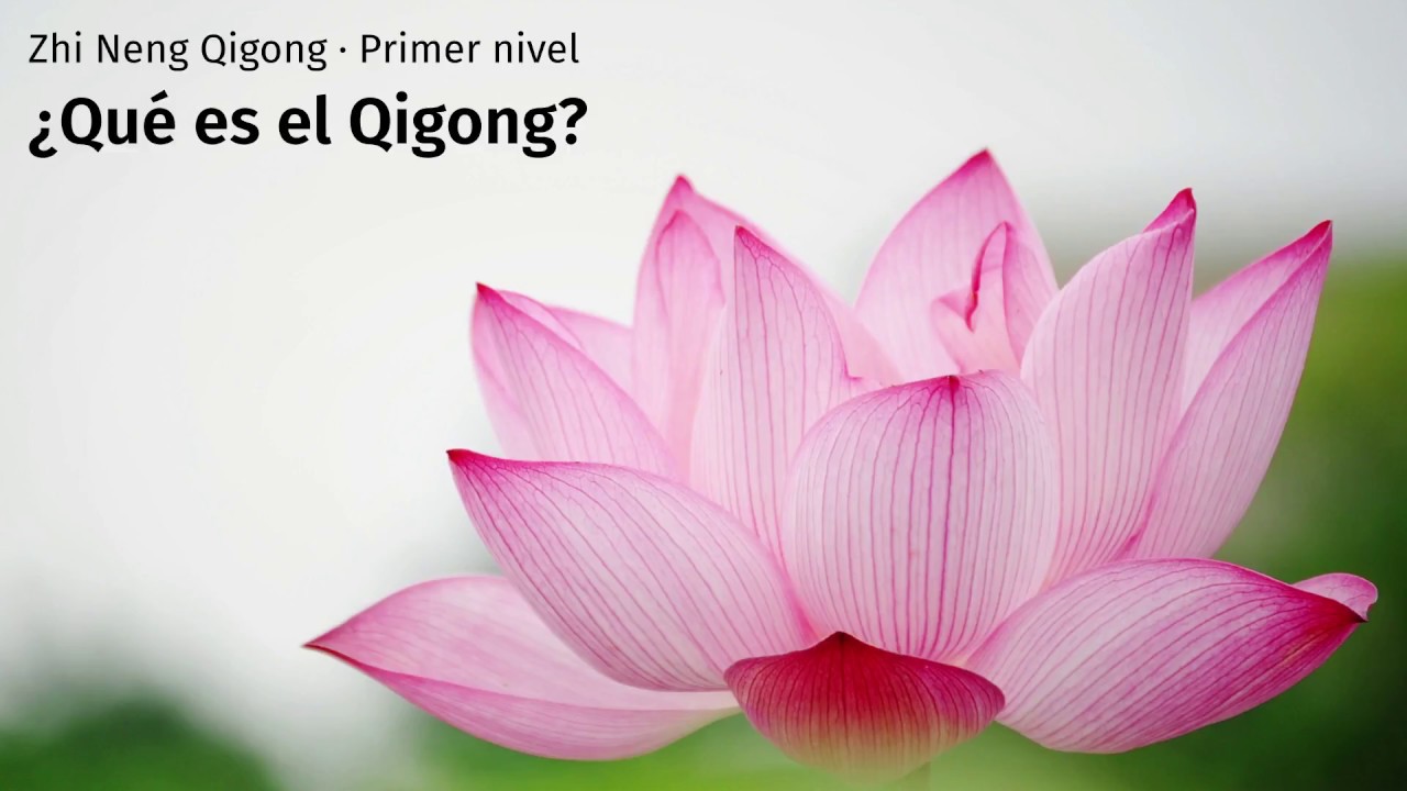 Teoria - 02. Que es el Qigong qiyana