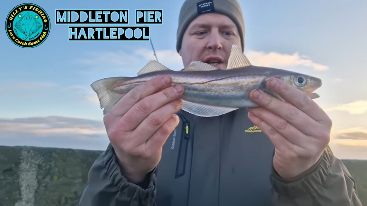Middleton Pier Hartlepool Fishing Session YouTube