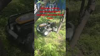 Wireless remote control,flexible to navigate between fruit trees. #lawnmower #motionsensor #diy