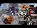 Zim vlog mini grocery haul  hubs makes dinner  errands a mundane day in the life zim youtuber