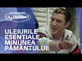 Uleiurile esențiale, minunea pământului! | LAS FIERBINȚI 2022