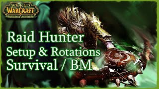 Wow Tbcc Raid Hunter Bmsurvival Setup And Rotations