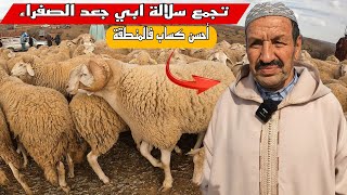 تجمع وشم اجود الفحول سلالة ابي جعد في منطقة الرواشد ابي جعد شوف تقافة هاذ الكساب