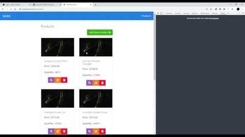 Setup NGRX GitHub Project
