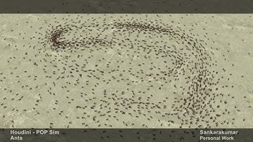 Ant Crowd