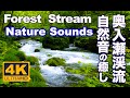 4K 新緑 Fresh green 自然音 せせらぎ 奥入瀬渓流  Relaxing Nature sound of Forest Stream  森の音 十和田観光 リラックス Relaxation